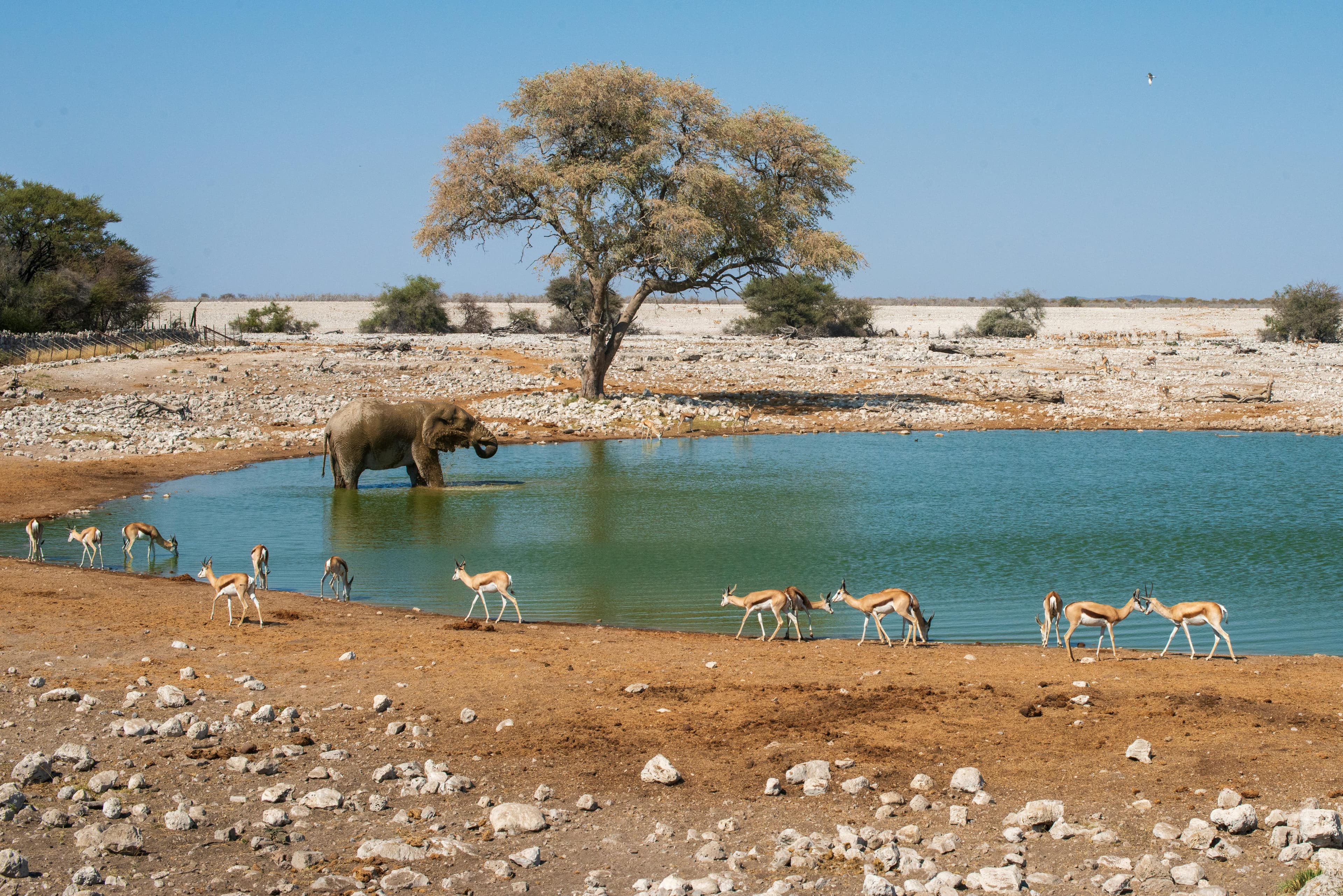 Namibia